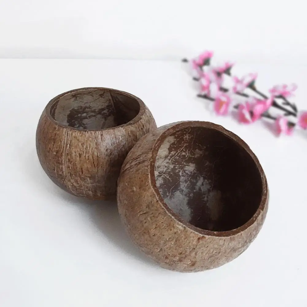 Modern Food Container Sturdy Coconut Shell Bowl Anti-deformation Relocation Gift All Match Coconut Shell Bowl