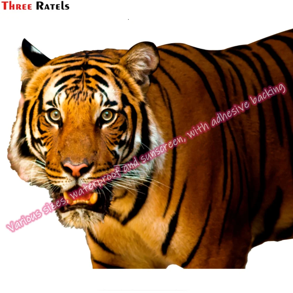 Three Ratels N127 Stickers Accessories for Tuning Vehicles Stickers for Alien for Kia Sportage Supplies Motorcycle Stuff