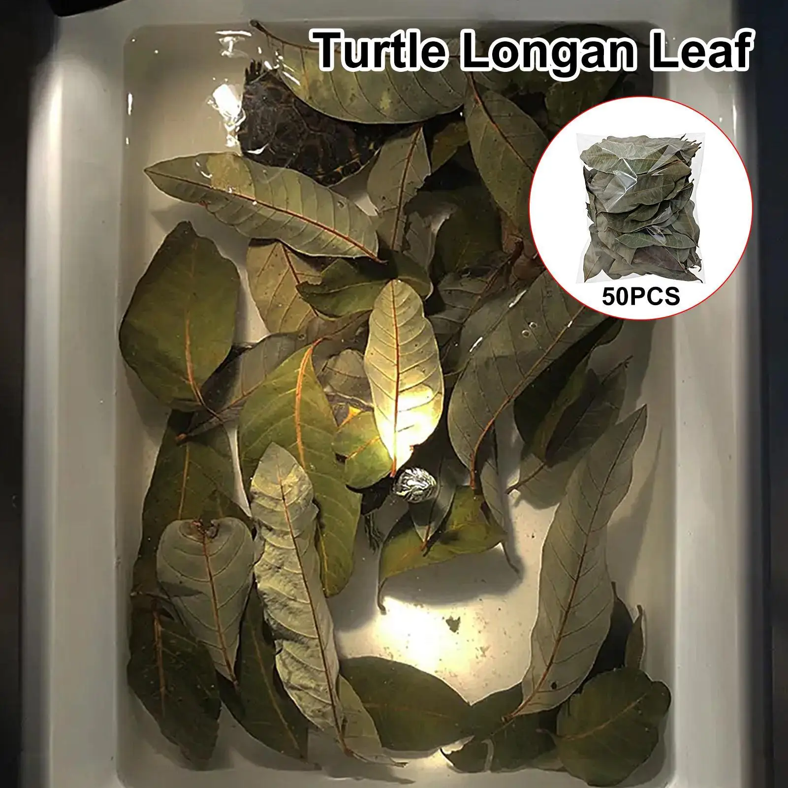 50 Stück Reptilienblätter, natürliche Haustierzubehör, Aquarium-Longanblätter-Streu für Geckos, Frösche, Schlangen, Garnelen, Schildkröten, Eidechsen – Detail 11