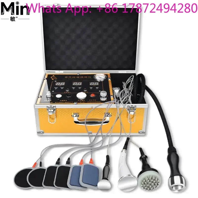 DDS Bioelectric Massager Physical Therapy Health Care Device