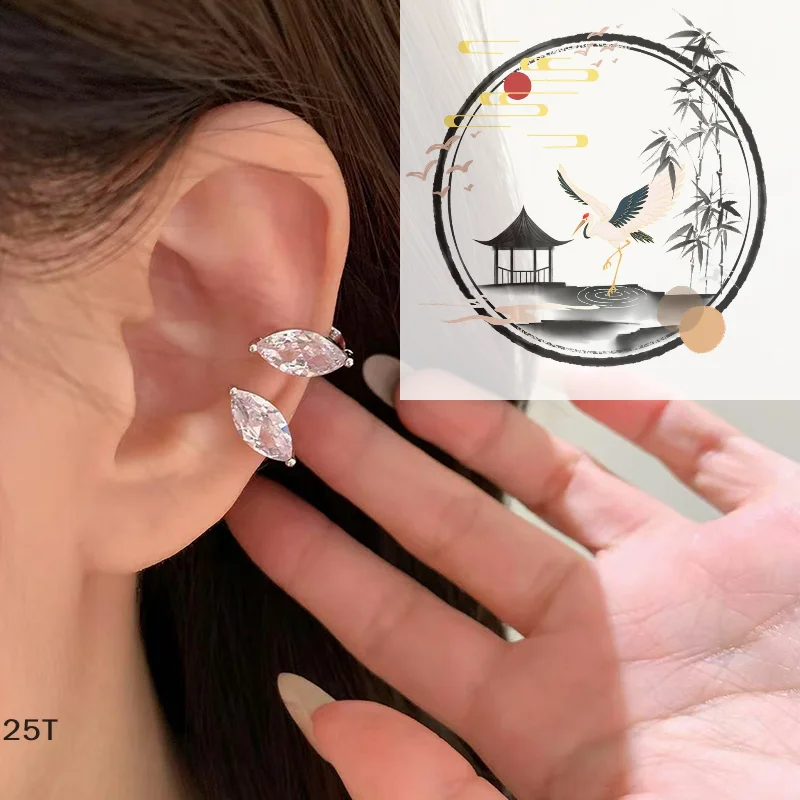 Sparkling Zircon Ea…