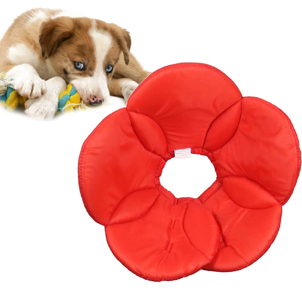

Fashionable Durable Polyester Sponge Flower Pet Collar Anti-Bite Adjustable Comfortable Dog Walking