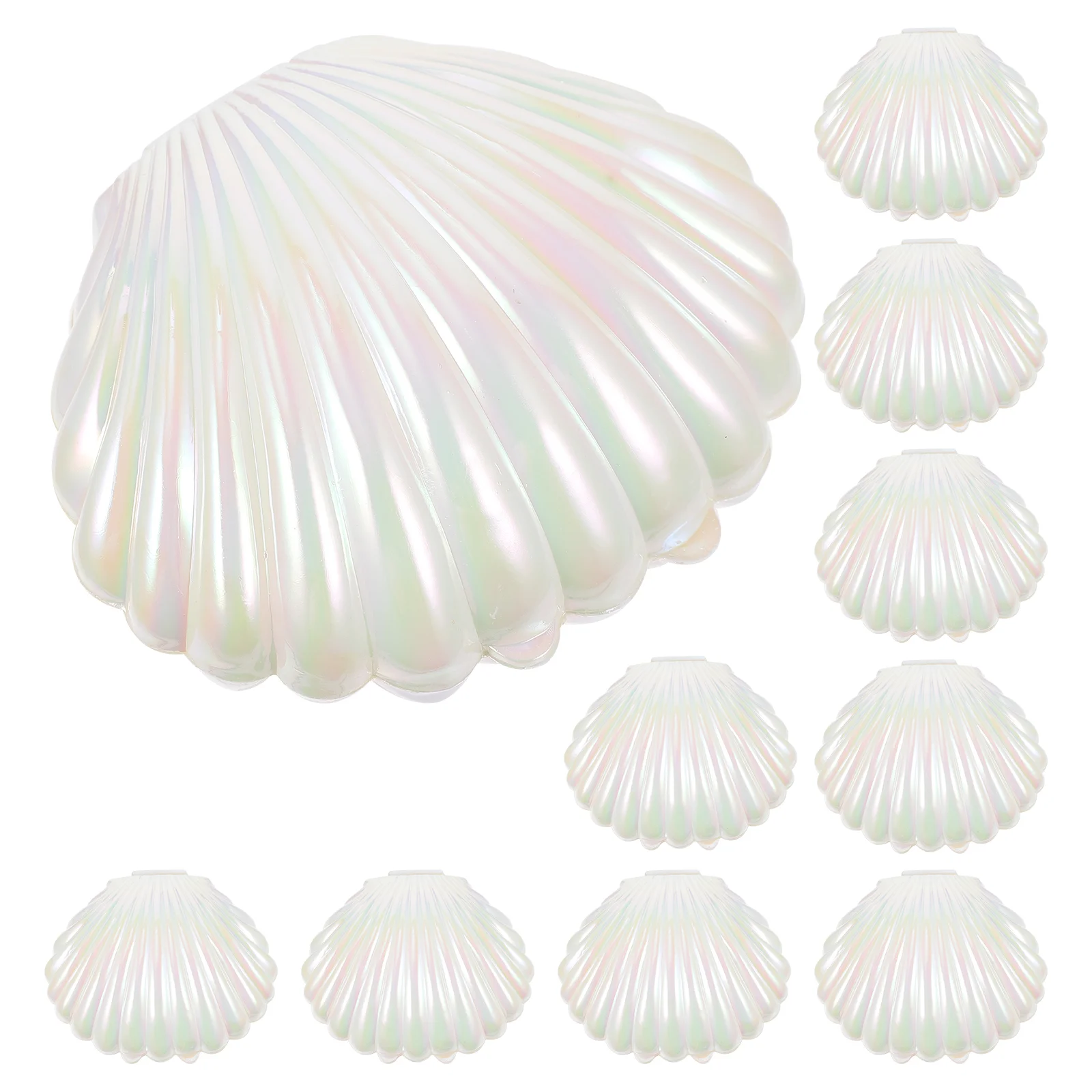 10pcs Shell Candy Boxes Shell Storage Container Jewelry Box Wedding Party Favor