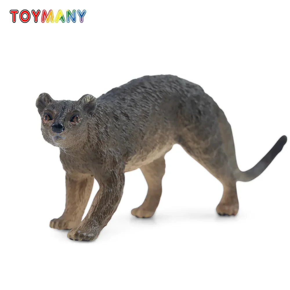 Toymany Simulation Fossa Madagascar Animal Model Toy Mini Figures Dolls Action Figurines Toys Children Gift Cake Decoration