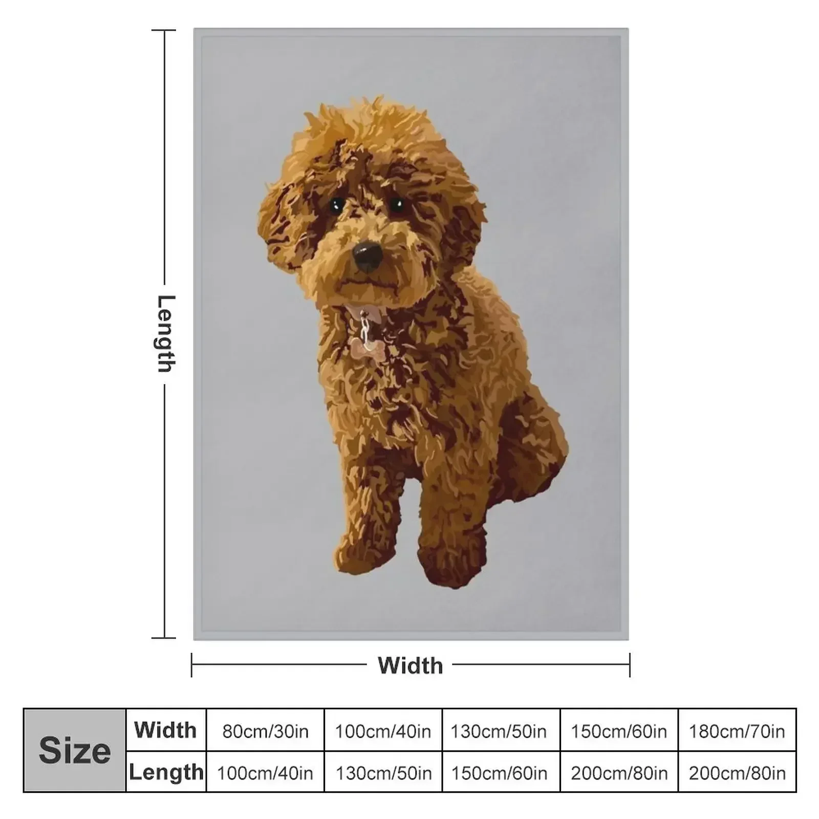 Ginger the Toy Poodle on Grey background Throw Blanket warm for winter Picnic blankets ands Hairys Blankets