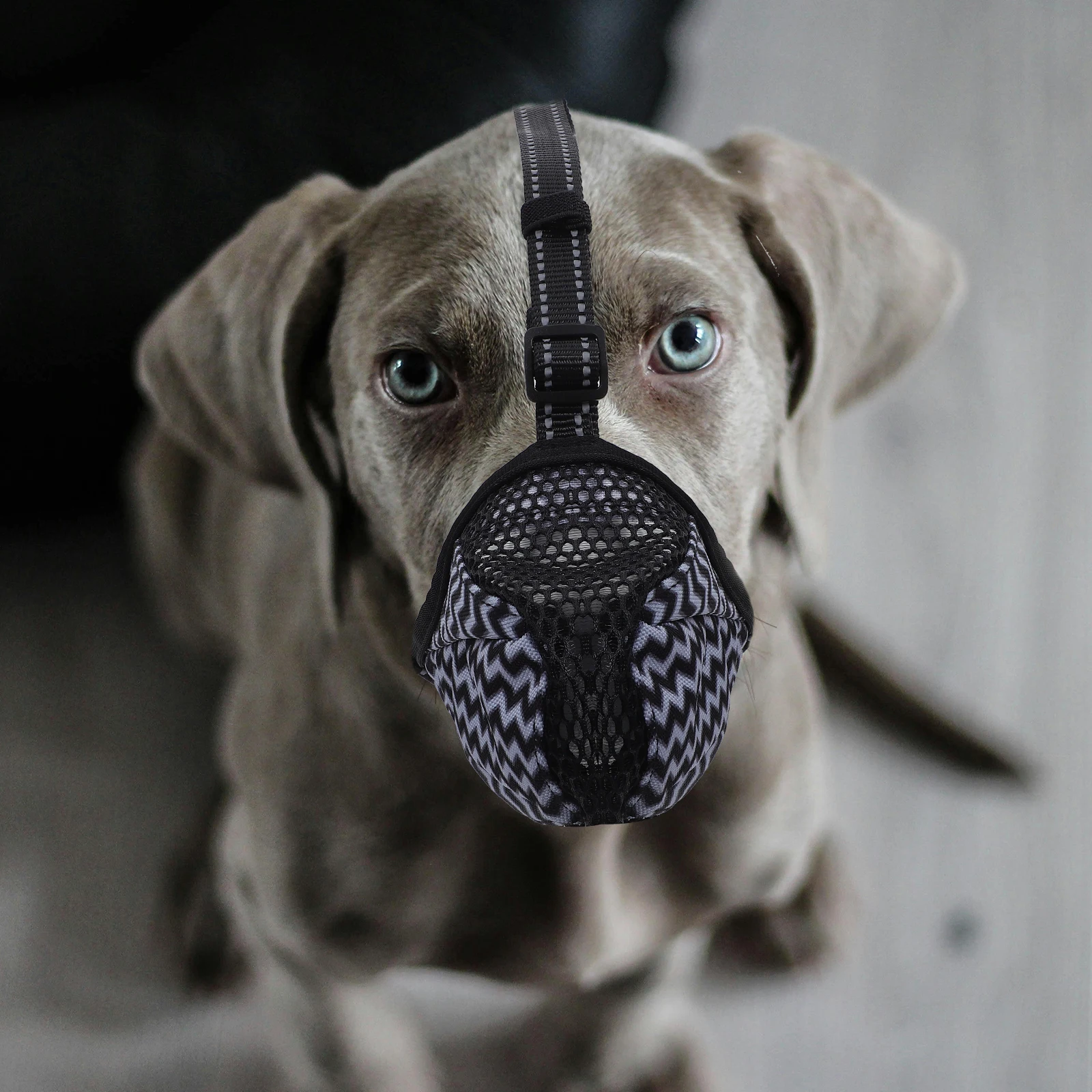 

Dog Muzzle Air Mesh for Biting Equipment Breathable Pet Large Dogs Polyester Bulldog