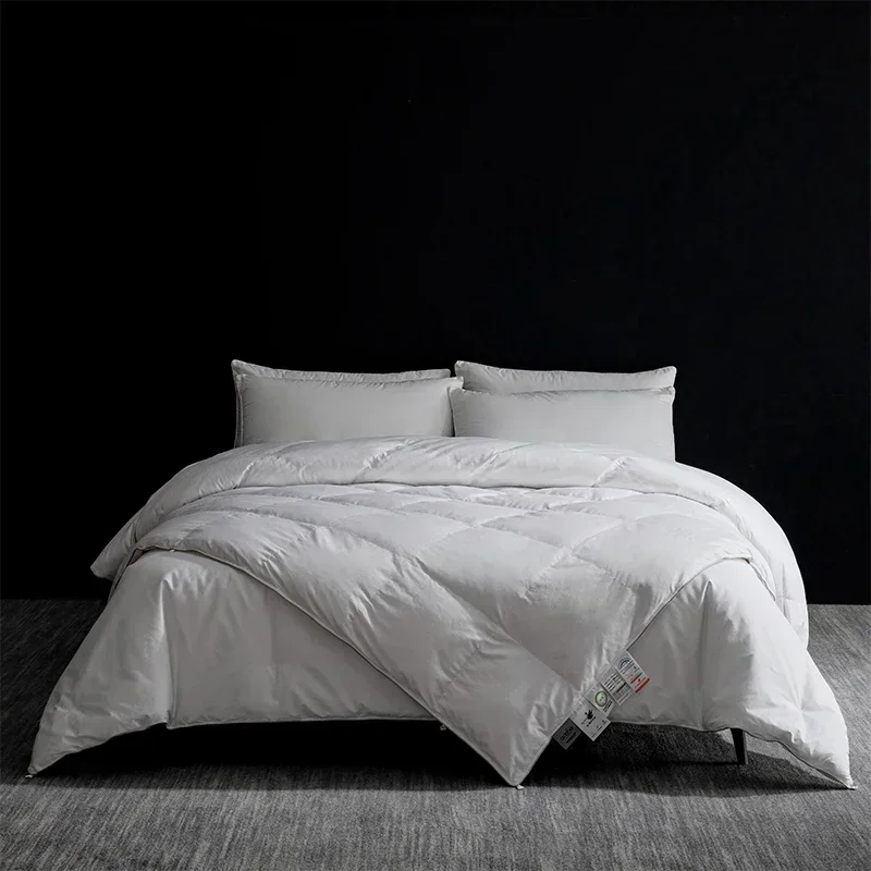 Newly Arrived 2025, High-End Silk and Goose Down Quilt Duo, king Size, Your Cozy All-Year Solution.