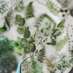 40Pcs Natural plants Flower Stickers DIY scrapbook PET Material Handbook Water Cup Plant Transparent Sticker