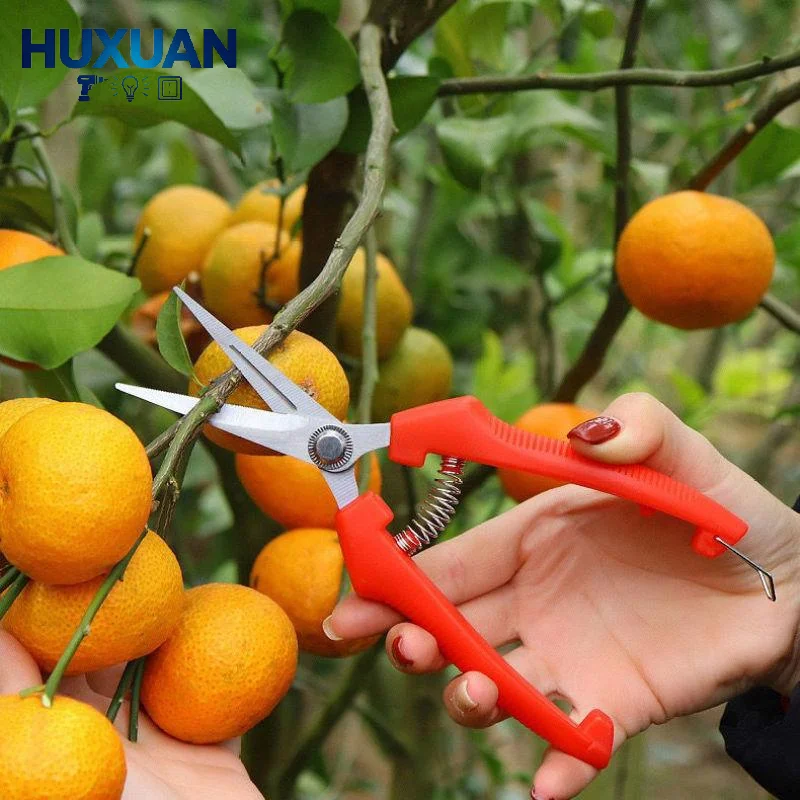 1Pcs High Carbon Steel Gardening Pruning Shears Non Slip Handles Straight Curved Tips For Fruit Thinning Orchard Garden Trimming