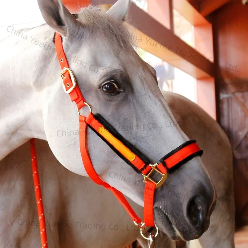 

Bridle cage cover Anti-wear lead horse, equestrian supplies