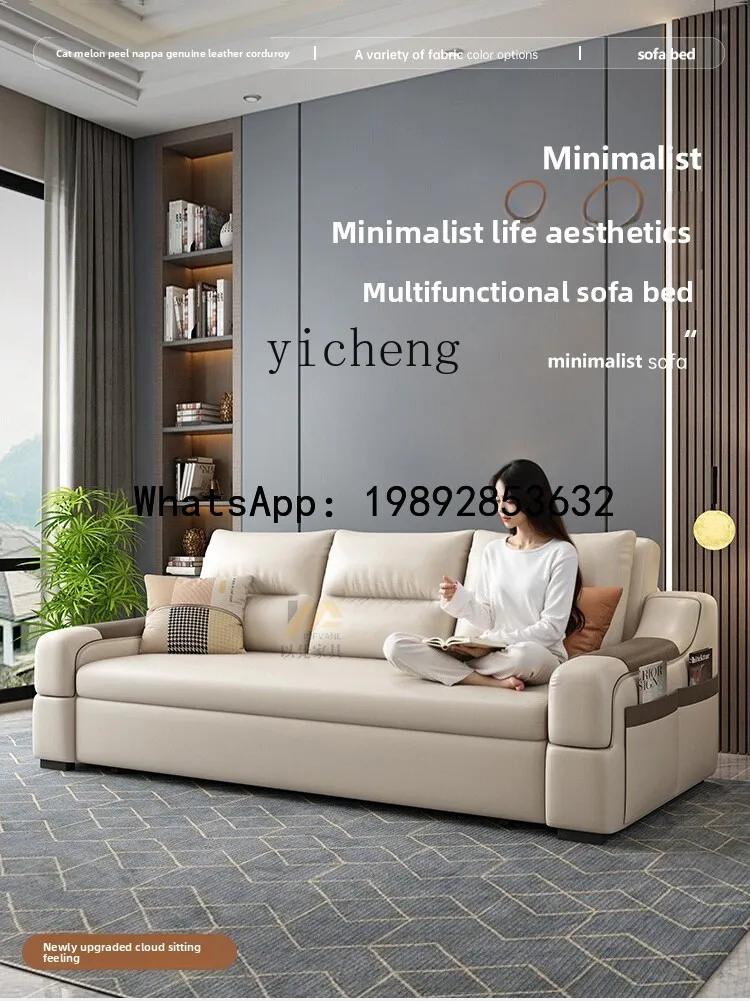 

X2 small apartment sitting and sleeping living folding dual-purpose sofa storage living room cat scratching skin