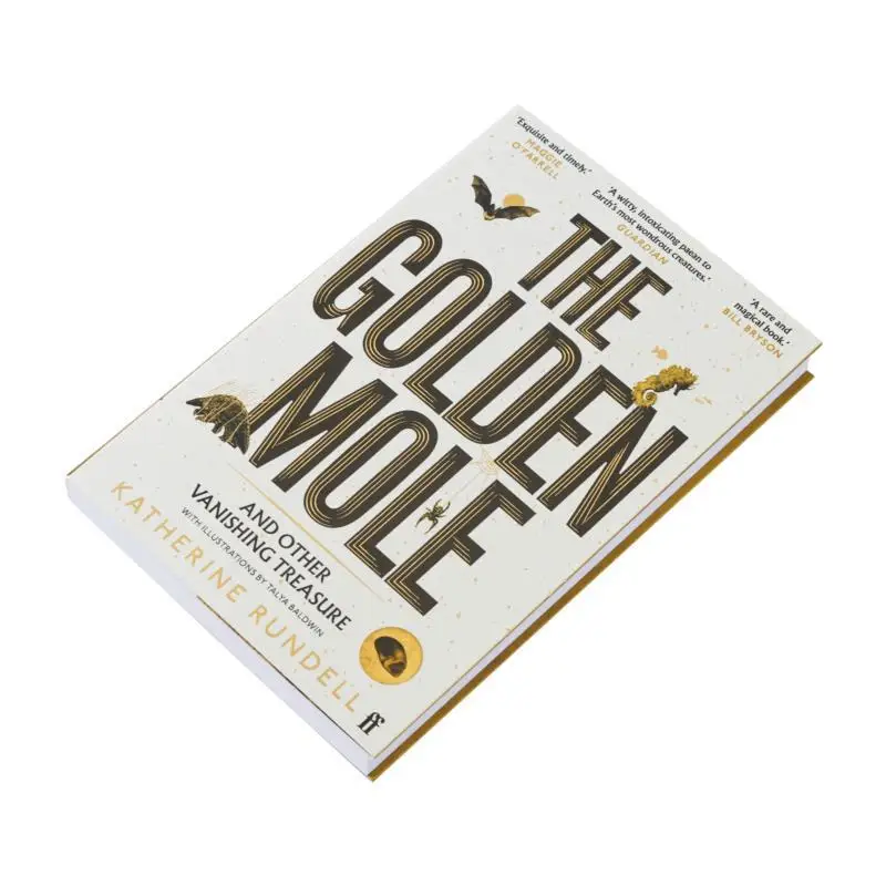 الخلد الذهبي وغيرها من الكنز التلاشي كاثرين رونديل فابر وفابر 9780571362509 كتاب