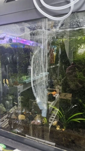 구매후기