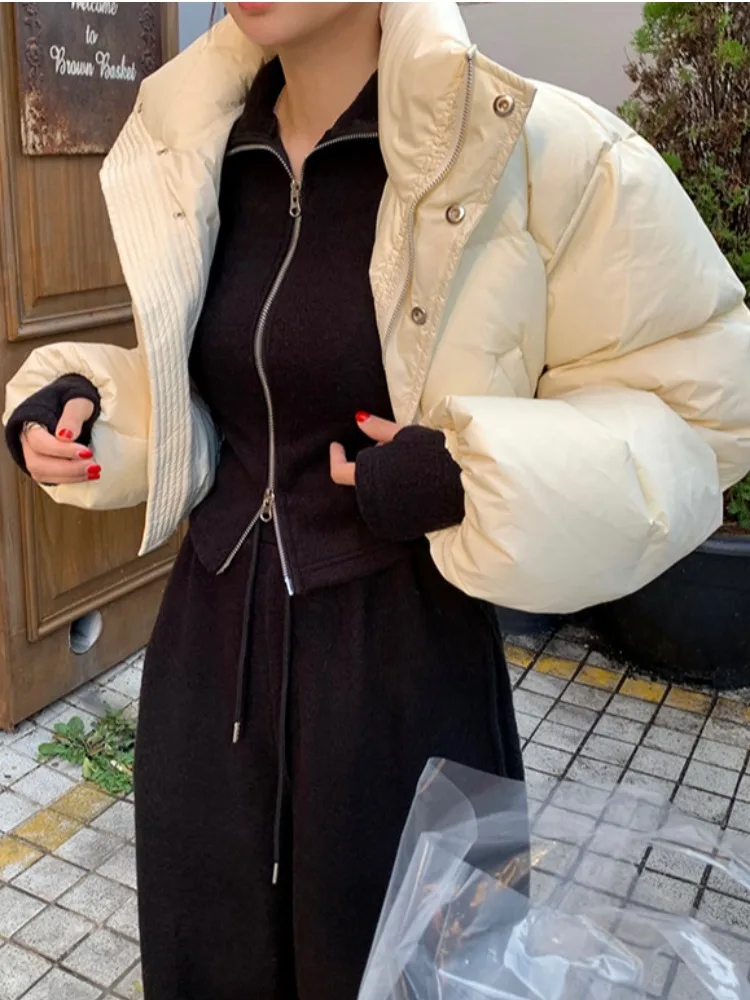 

Утягивающие брюки на молнии с воротником-стойкой, верхняя часть талии, повседневные свободные прямые брюки, комплект спортивной одежды, простой дизайн для женщин