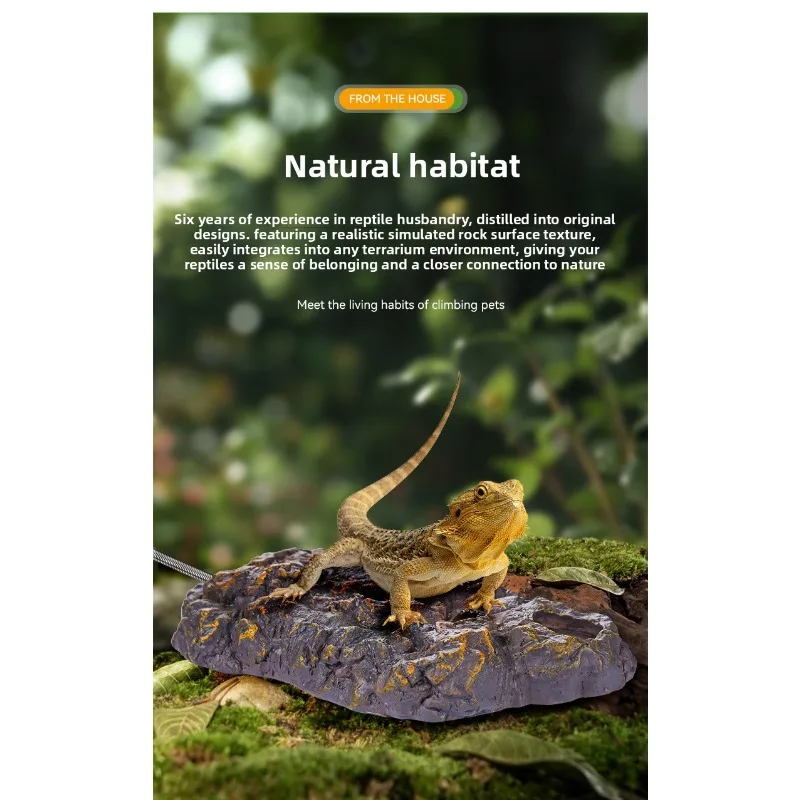 الزواحف إخفاء كهف لوحة التدفئة حجر الزواحف ديكور شقة سحلية المأوى خزان الملحقات ثعبان ليوبارد أبو بريص العنكبوت الطيور جثم
