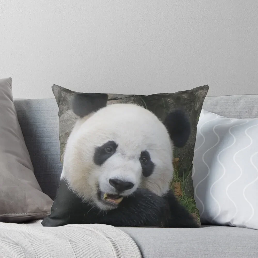 Giant Panda Bei Bei at the National Zoo Throw Pillow Luxury Pillow Case Cushions For Sofa autumn decoration Pillow