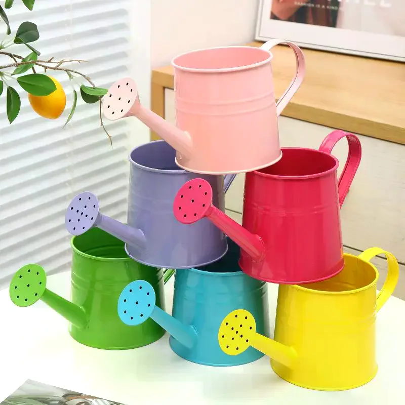 New Metal Watering Can Garden Flower Kettle Mini Small Spraying Pot Sprinkle Large Capacity Kids Adult
