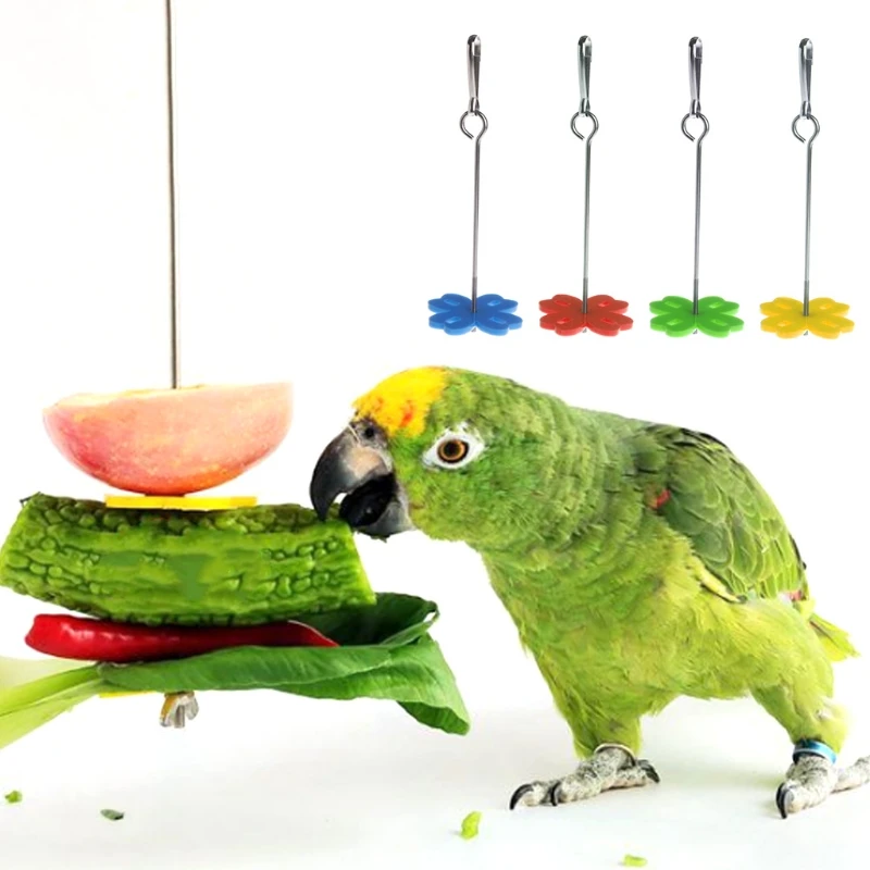 Bird Food Holder Hanging Treat Holder Feeding Tool for Fruit Vegetable for Finch