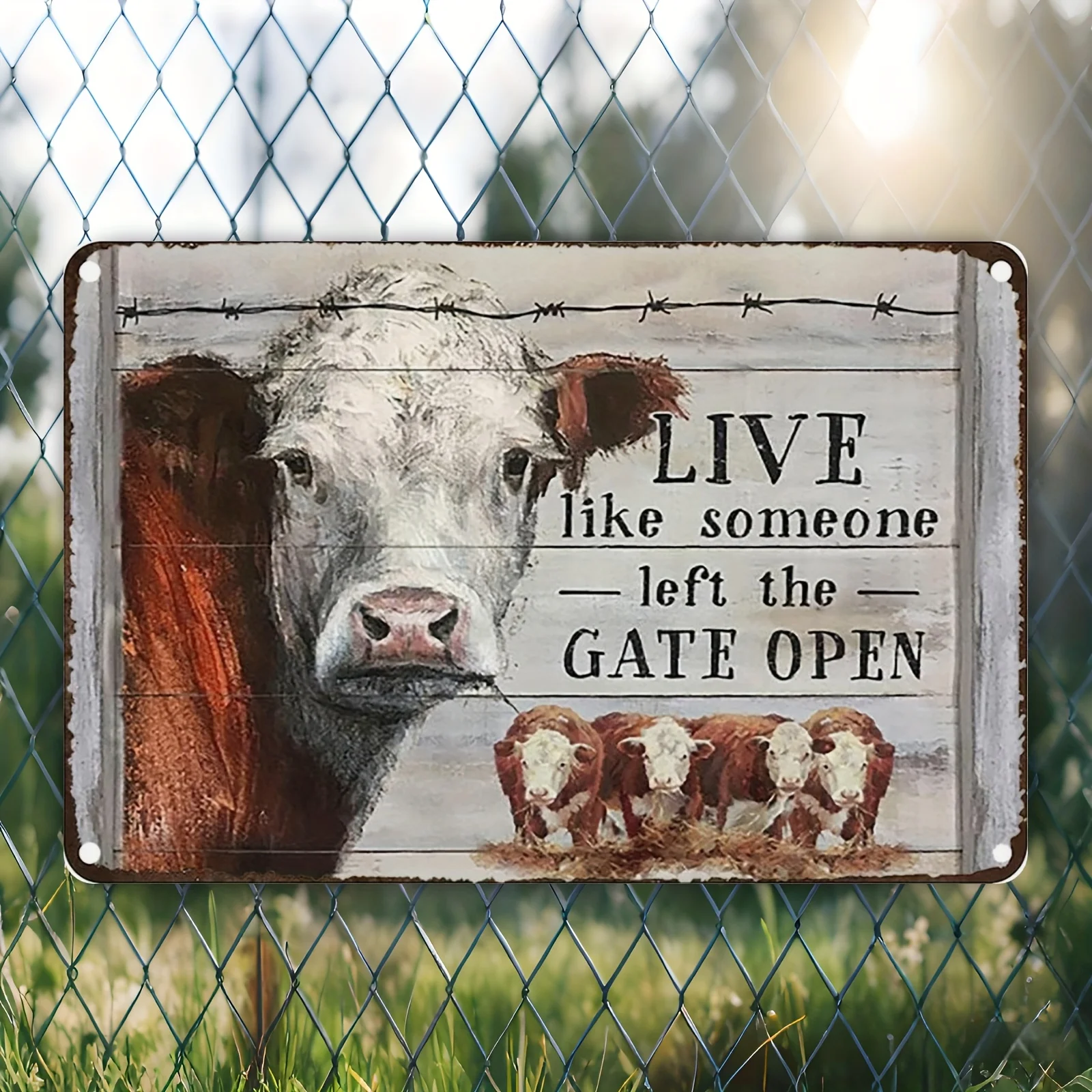 Placa de Metal Vintage 2D Plana, 1 unidade, com tema 'Viva como se alguém deixou a porta aberta' e 'Vaca Hereford', Decoração de Parede Rústica para Casa e Quarto