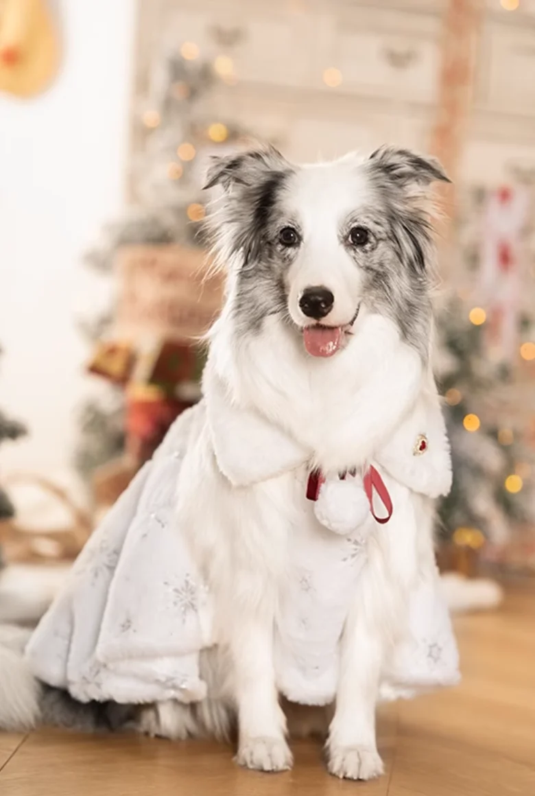 Christmas Dog Dress Winter Big Large Dog Clothes Schnauzer Corgi Shiba Inu Samoyed Husky Bull Terrier Golden Retriever Clothing