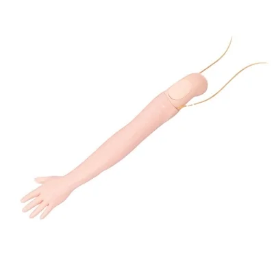 Advanced Arm Venipuncture and Intramuscular Injection Training Model  for Schools and Hospitals