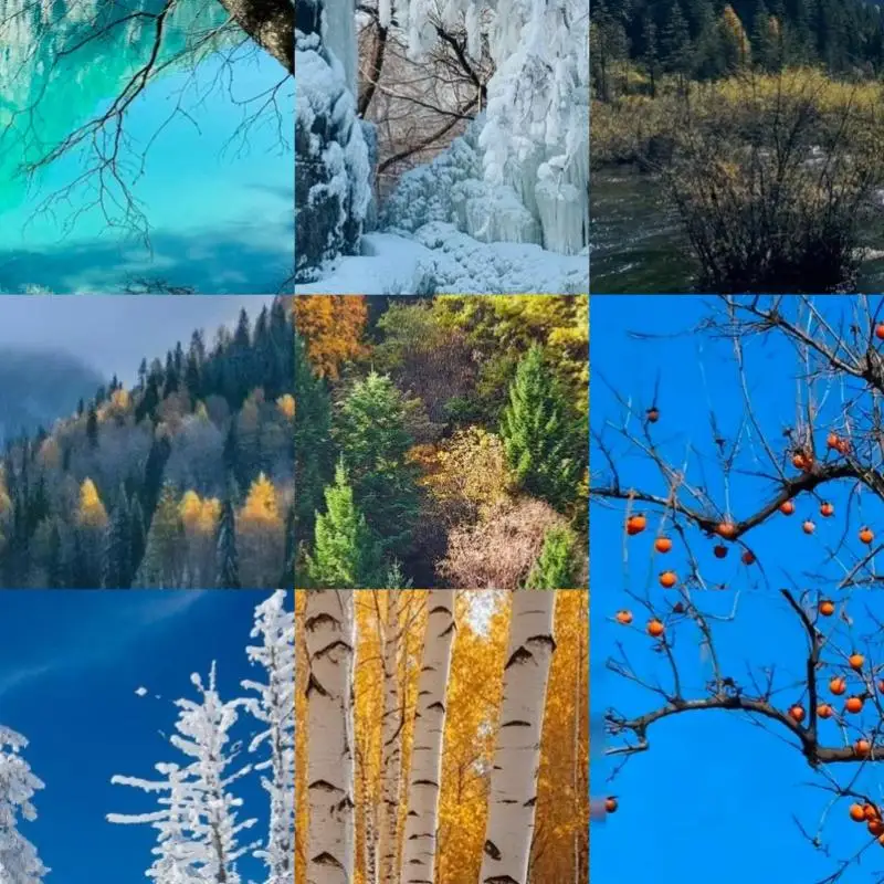 Comfort Headband De…