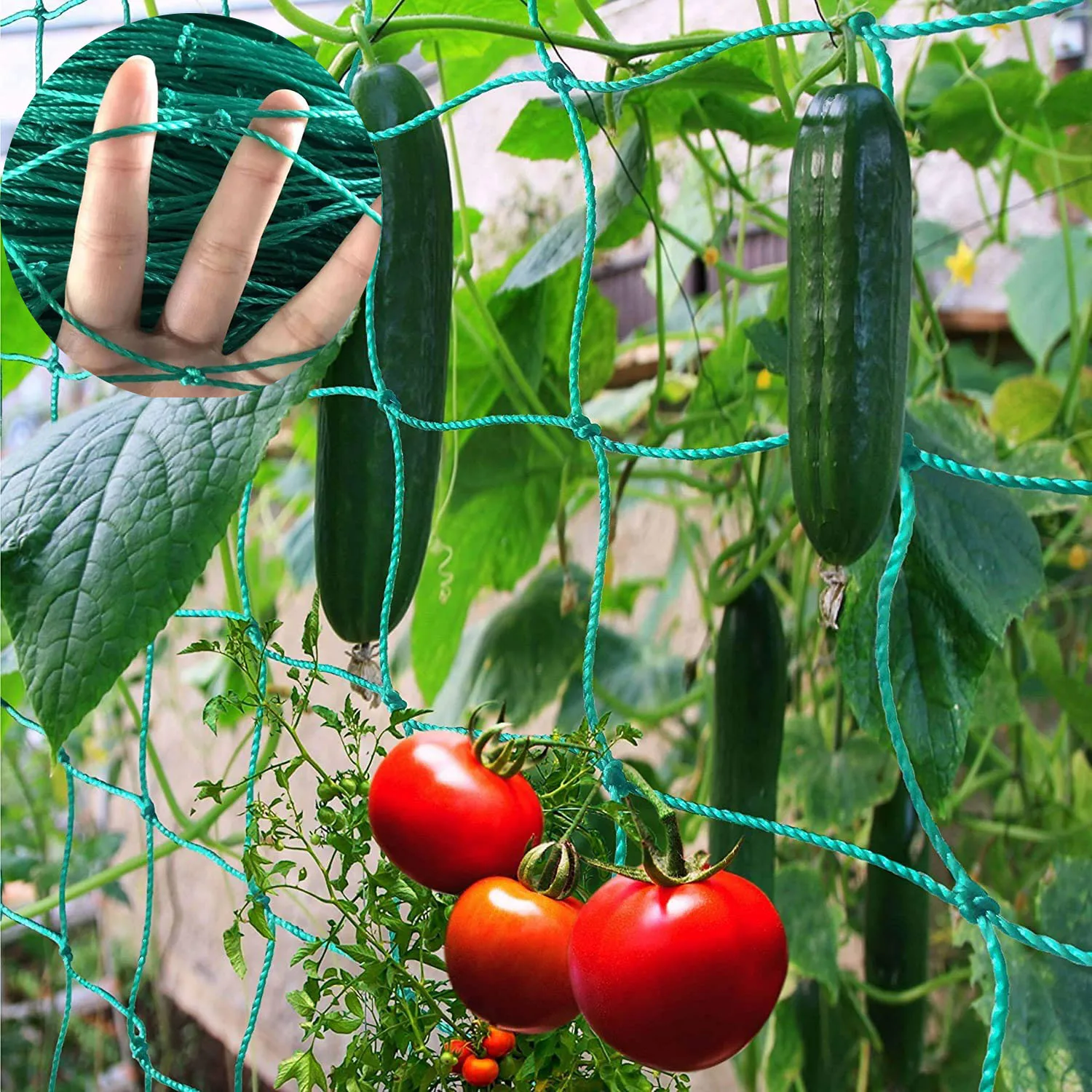 Trellis Netting,Heavy-Duty Garden Grow Netting for Climbing Plants,Cucumber,Tomatoes,Fruit & Vegetables,Climbing Vining Plants