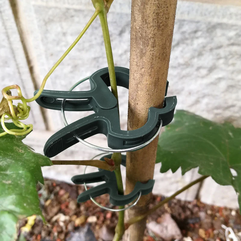 10/20PCS Reusable Plant Fixed Clips Greenhouse Bracket Fastener Clamp For Fixing Vine Flower Vegetables Stems Garden Supplies