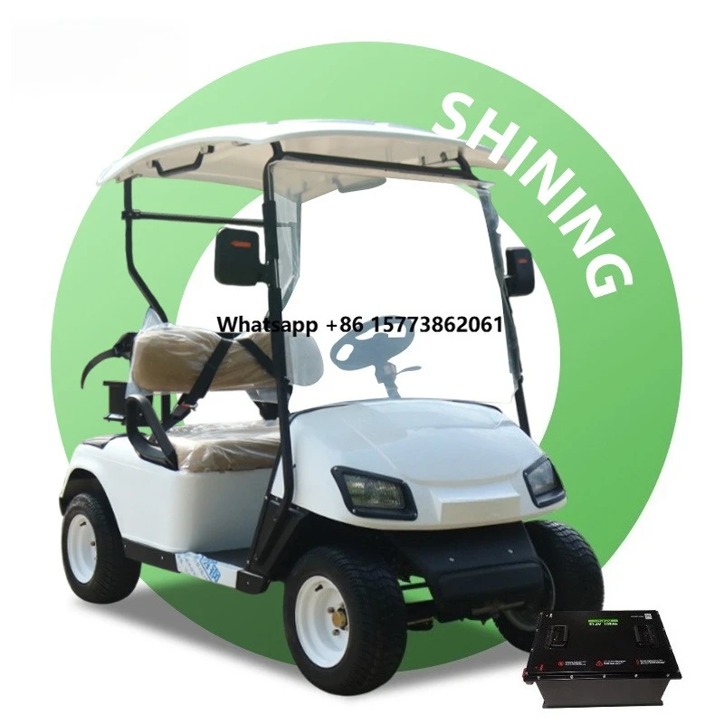 lsv Electric Club Car Golf Cart for Sale Cheap 2 Seats Golf Cart Smart Motor Golf Buggy