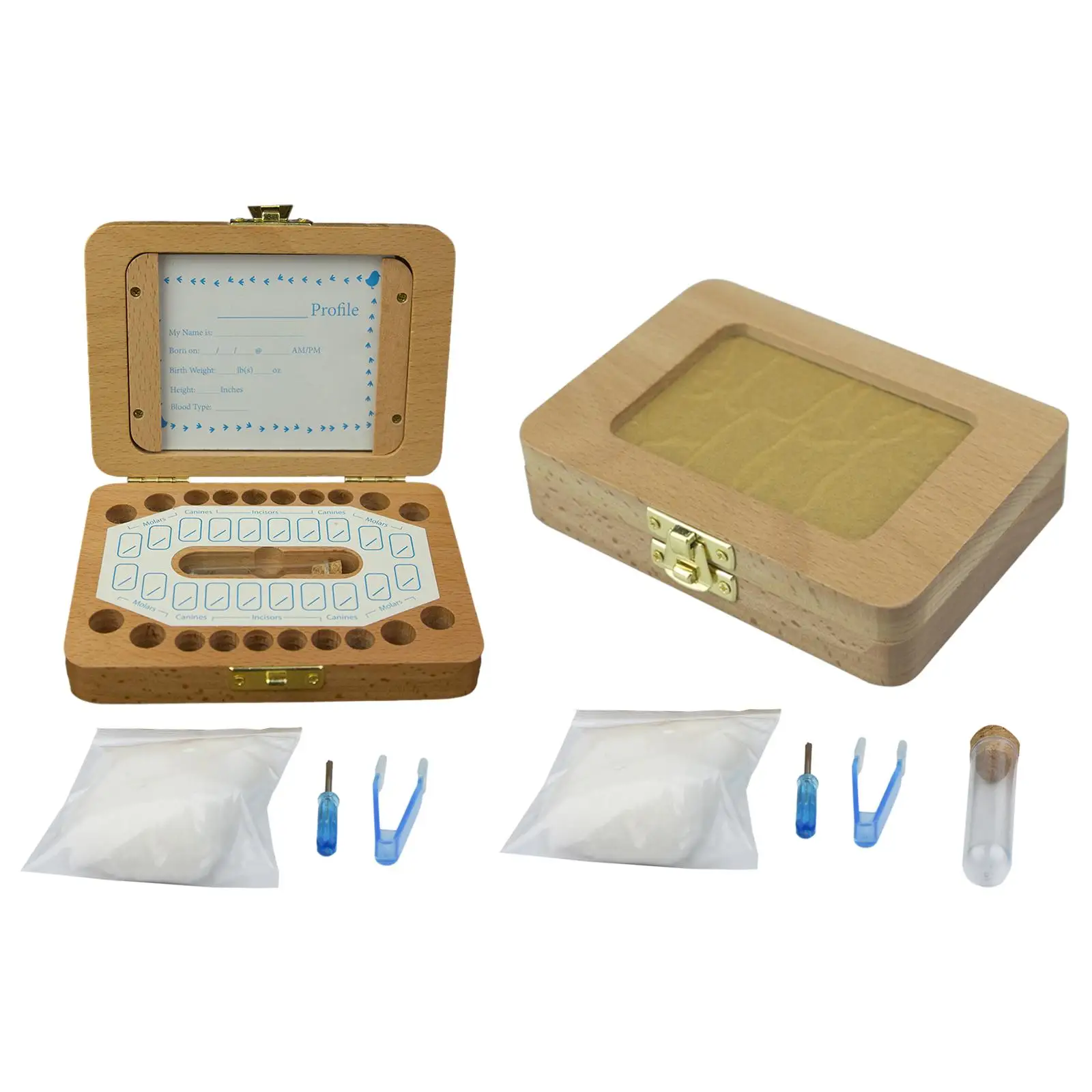 صندوق أسنان الطفل، حاوية أسنان الأطفال، إطار الصورة، مجموعة الأسنان مع الجنين