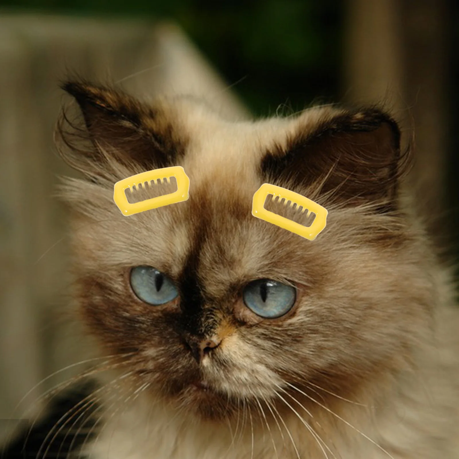 

5Pcs Dog Hair Clips Pets Clips Decorative Small Dog Barrettes Cat Puppies Grooming Accessories Cute Hair Pins