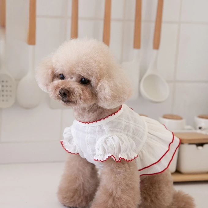 Spring Summer Cute Jacquard Bud Edge White Cotton Short Skirt Pet Clothes Cat and Dog Clothing Teddy Bear Cooling Summer Dog