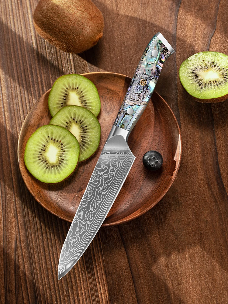 67-Lagen Damaszener Stahl Küchenmesser-Set Japanisches Superscharfes Kochmesser Neues Design Küchen-Gemüsemesser aus Kohlenstoffstahl