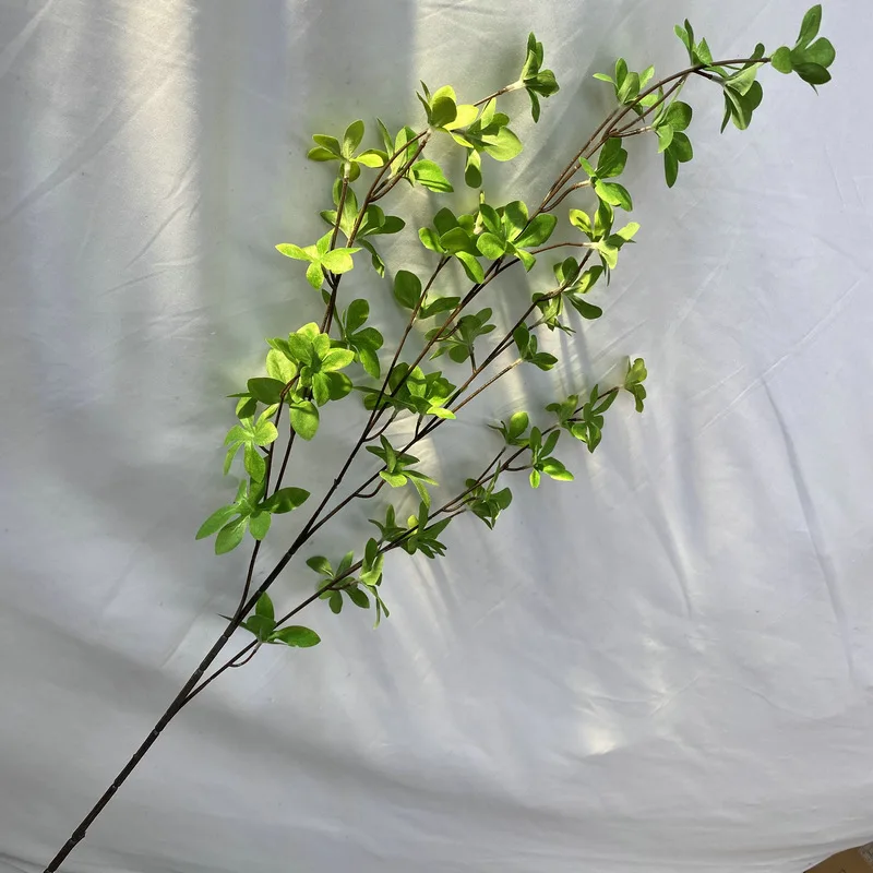 Artificial Enkianthus Perulatus 5 Fork Simulation Green Plant Indoor Decoration Wedding Decoration Flowers Home Decoration
