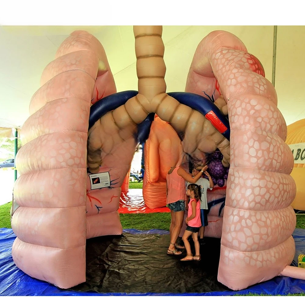 

Model School Giant Inflatable Lung Teaching Demonstrating Human Organs Ballooning Medical Activity