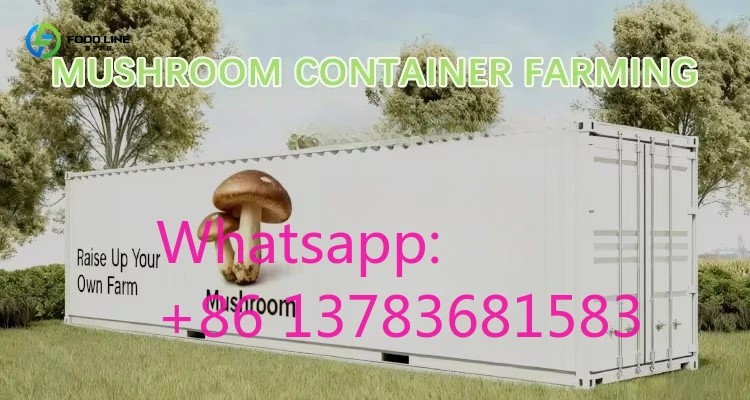 Mushroom Growing Container with Customizable Climate Control System and Galvanized Steel Frame for High-Yield Production Custom
