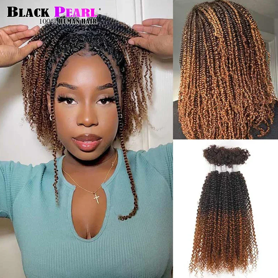 Cheveux afro crépus bouclés en vrac pour tressage au crochet torsadé, cheveux péruviens, 100% Remy, cheveux humains, brun ombré, V, bricolage