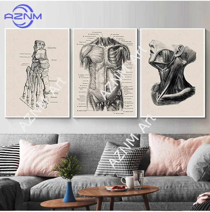 Anatomy skeleton Patent Vintage Poster Wall Art Print Canvas Painting Nordic Posters And Prints Wall Pictures For Living Room