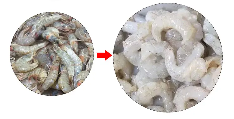 Best Price Shrimp Prawn Shell Separator Removing Shelling Machine with Factory Manufacturing