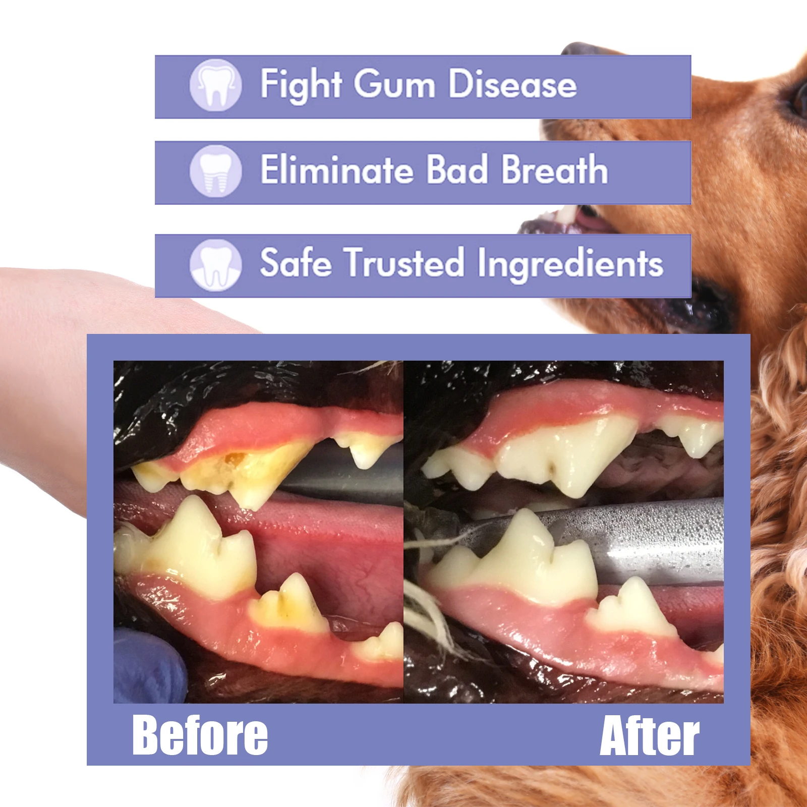 Pet Teeth Cleaning Spray Bad B - огляд і ціна Colgate Whitening Teeth