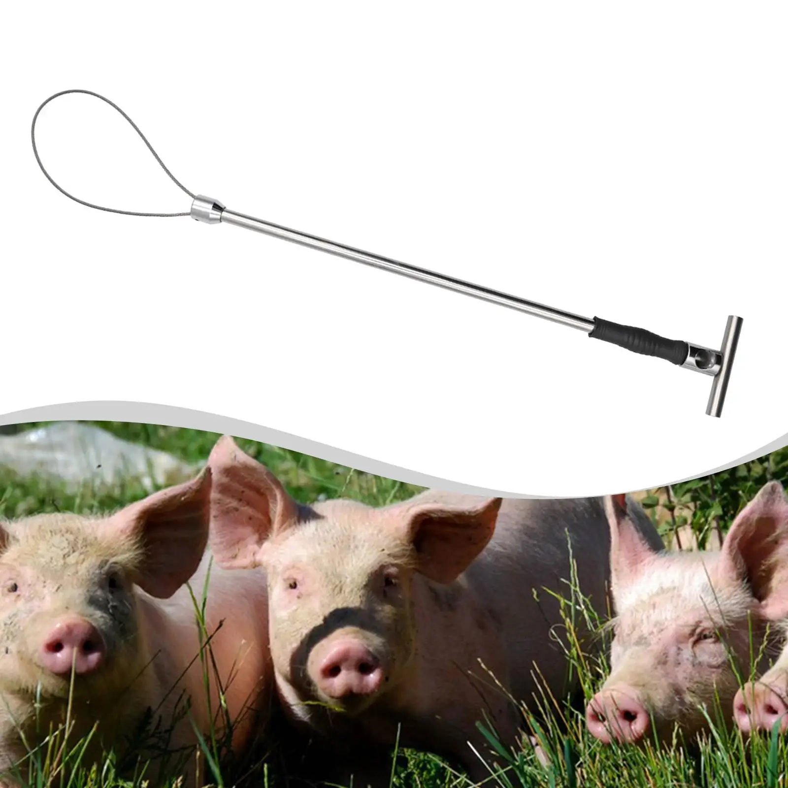 Animal Catch Pole Ergonomic Stainless Steel Noose Portable Animal Handler Stick for Livestock Breeding and Care