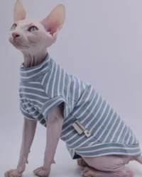 Sphynx Cat Clothes Cotton Kitty Clothes Bottoming Stretchy and Soft Hairless Cat Shirt Outfits Bald Cat Clothes for Cats