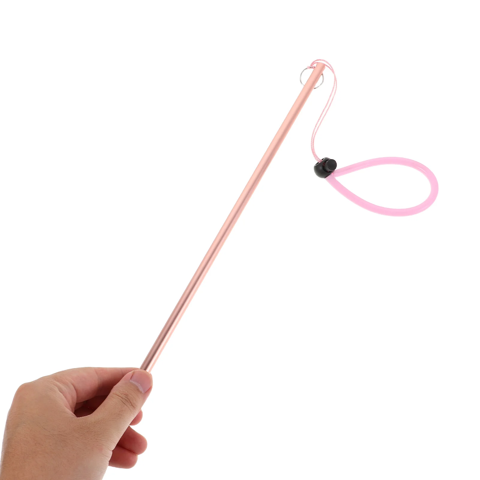 

2pcs Scuba Probe Stick Aluminum Alloy Underwater Rod Diving Tool Bottle Knocker Lanyard Lightweight Pool Outdoor Exploration