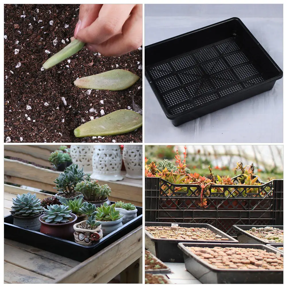 Plastic Professional Garden Nursery Pots Set For Home Gardening Indoor Garden Growing Trays Drainage Holes Seed