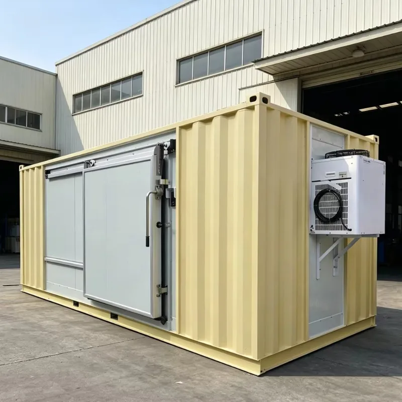 Solar Container Cold Room 20FT Mobile Refrigeration for Farm Customized