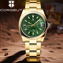 CORGEUT 36mm 39mm NH35 Jungle Explorer High Luxury Business Fashion Mens Watch Automatic Mechanical Sapphire Waterproof Luminous