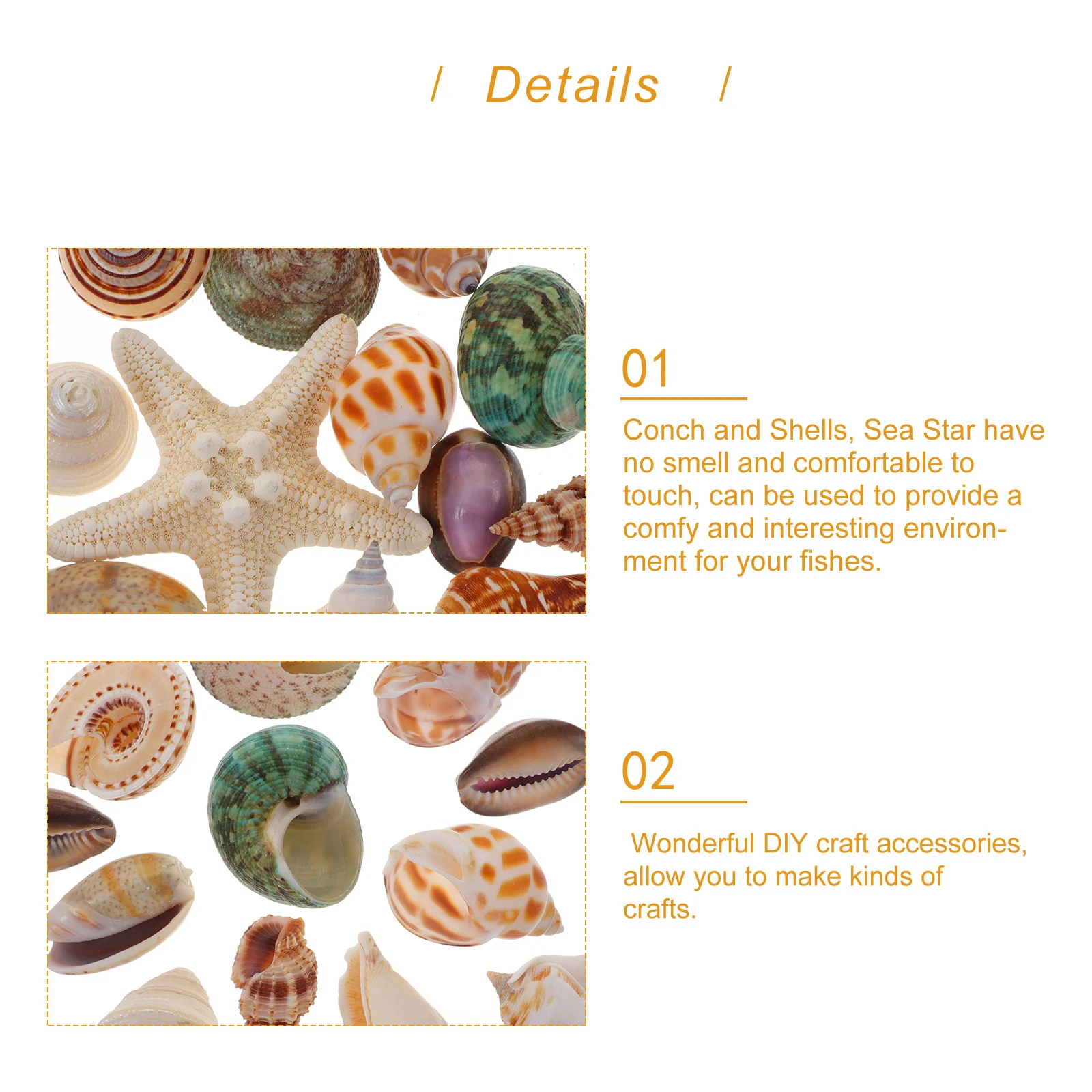 

13Pcs Shell Sea Star Decor Natural Ocean Theme Conch Decorations for DIY Craft Aquarium Fish Tank Landscaping Desktop Ornament