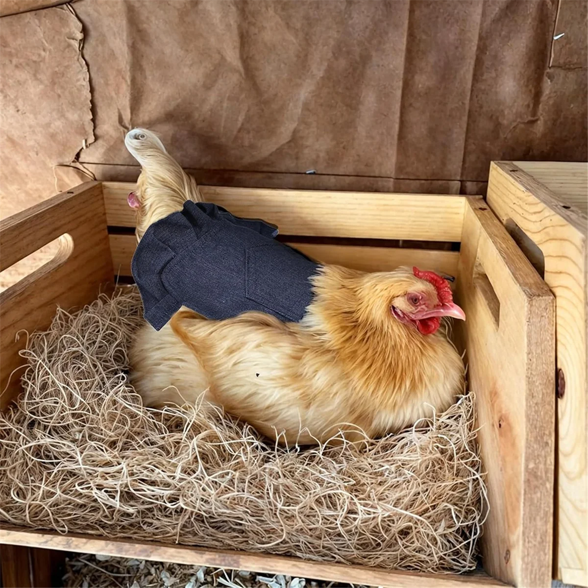 3PCS Chicken Overalls Saddles Hen Jacket Apron, for Duck GeeseJAS