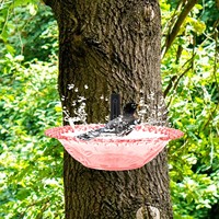 Outdoor Plastic Wall Mounted Bird Bath Hanging Bird Feeder Birdbath Feeder Tray Wall-mounted Bird Bath Courtyard Decoration