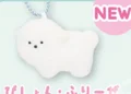 Samoyed